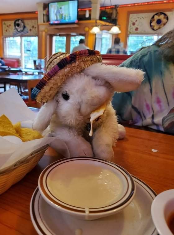 Queso Dip