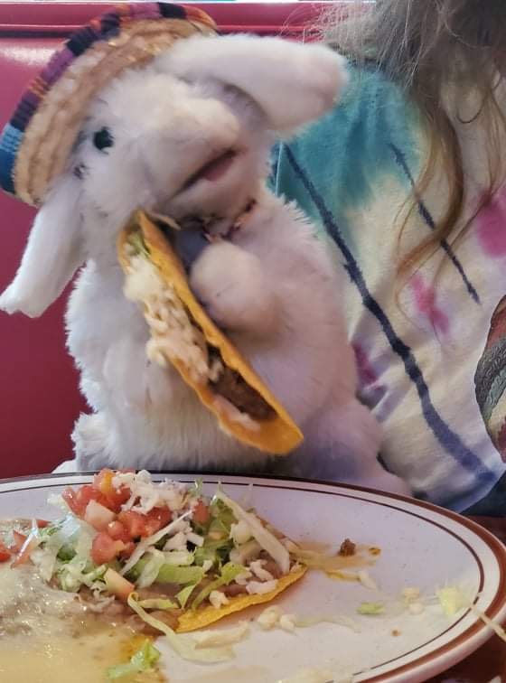 Taco and Tostada